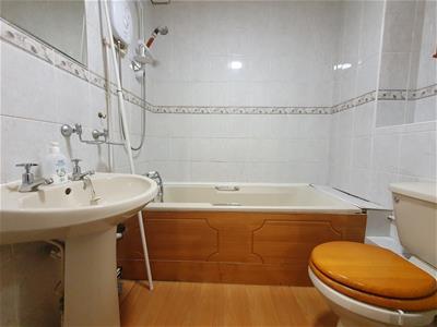 Picture 8